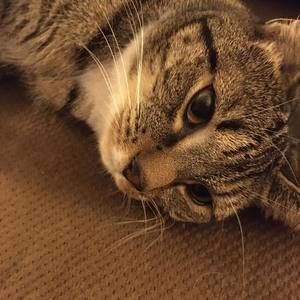 Meet your Posher, Suzanne